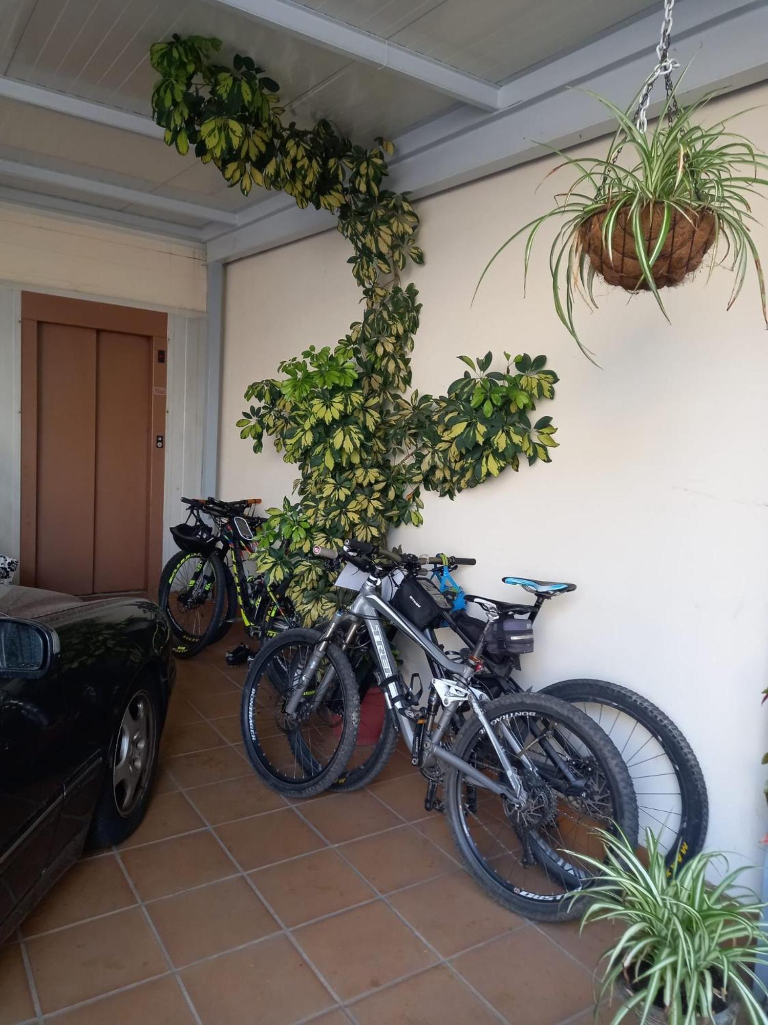 Albergue Agarimo Caldas De Reis Exterior foto